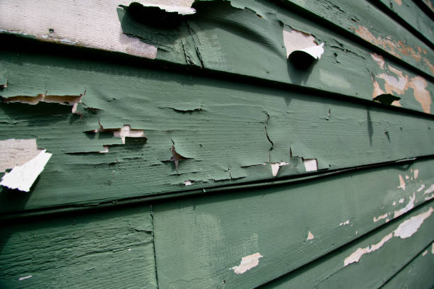 Professional Junk Removal in Charleston, SC
